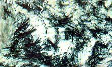 Мелкозернистая апатитовая руда со звездчатым эгирином. Хибины, фото.